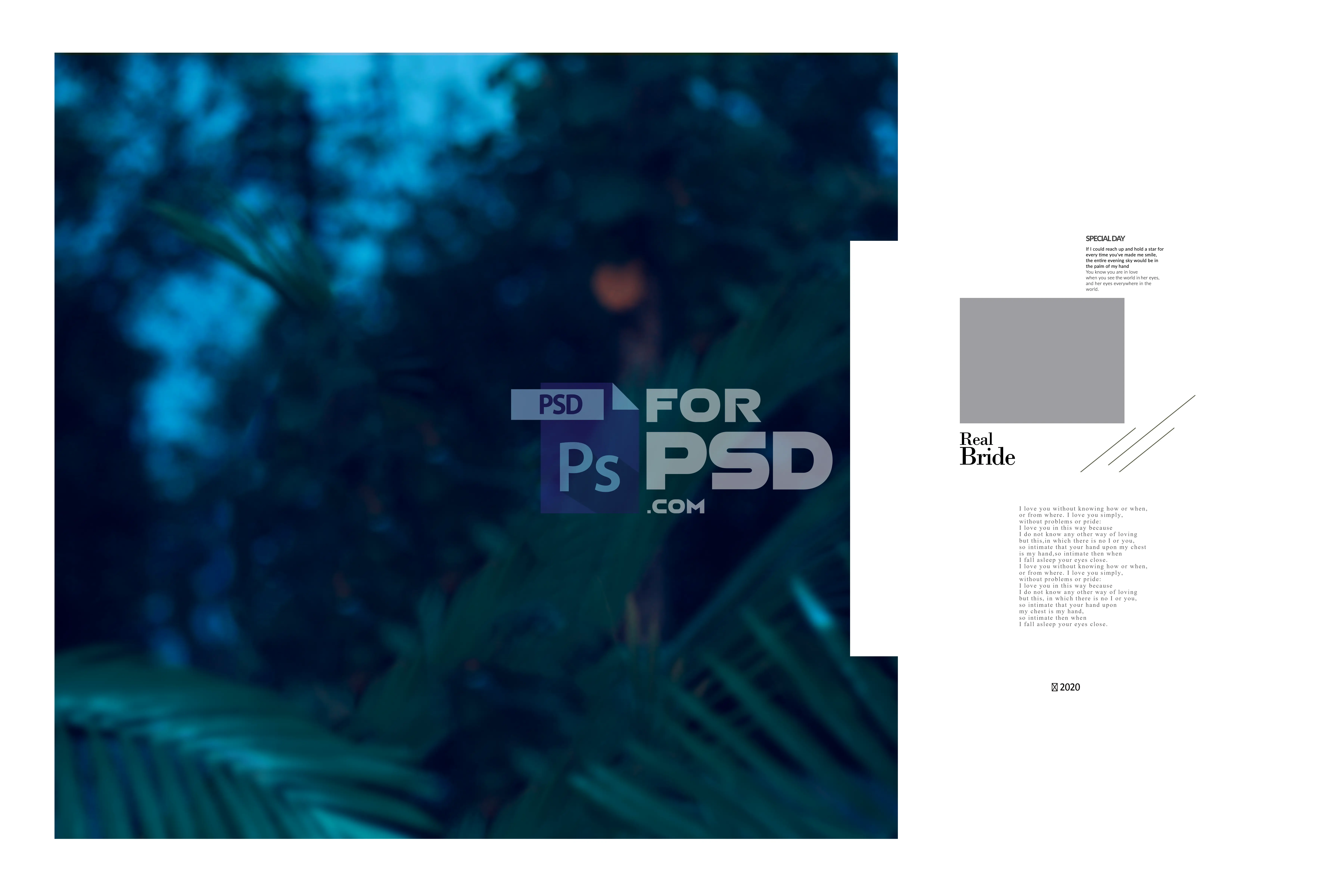 Image Preview